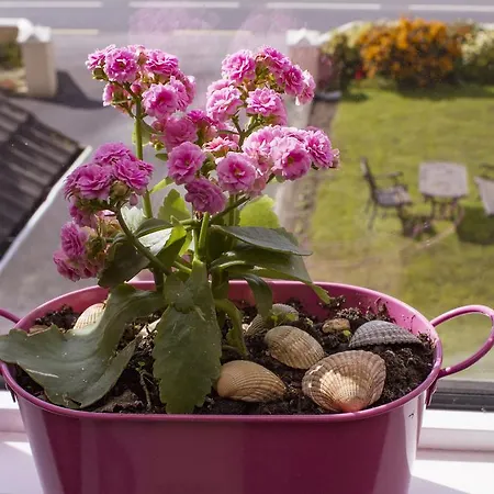 Eagle Heights 住宿加早餐酒店 4*