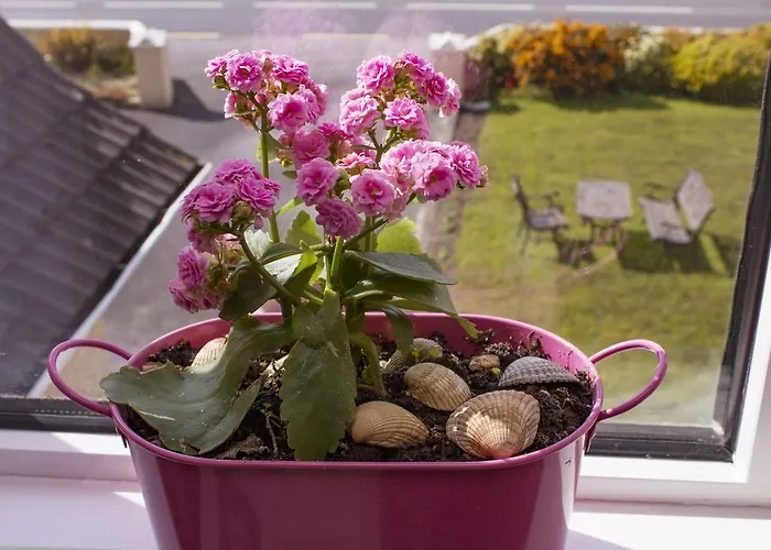 Eagle Heights Panzió 4*